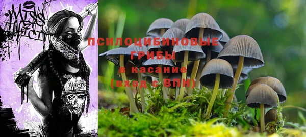 стафф Орск