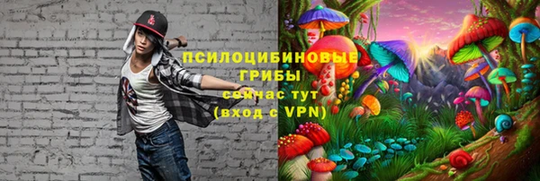 скорость Лиски