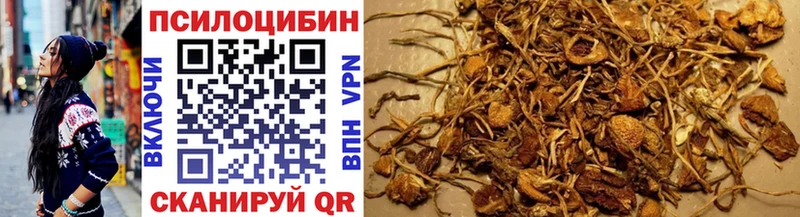 где найти наркотики Тогучин Псилоцибиновые грибы ЛСД